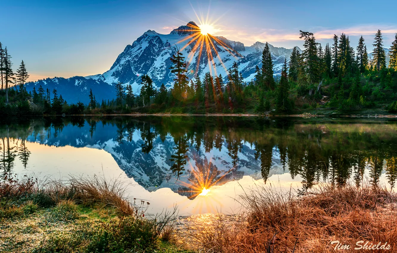 Photo wallpaper autumn, forest, the sun, rays, lake, reflection, October, morning