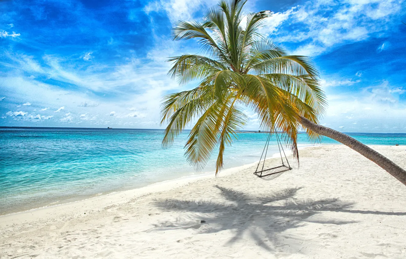 Photo wallpaper sand, sea, beach, the sun, palm trees, swing, shore, summer