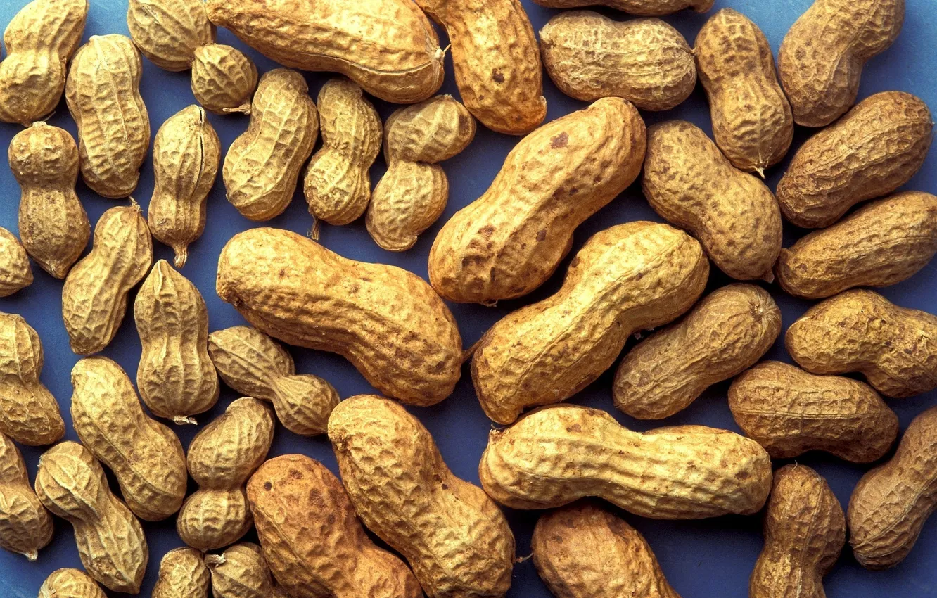 Photo wallpaper wallpapers, peanuts, Arachis
