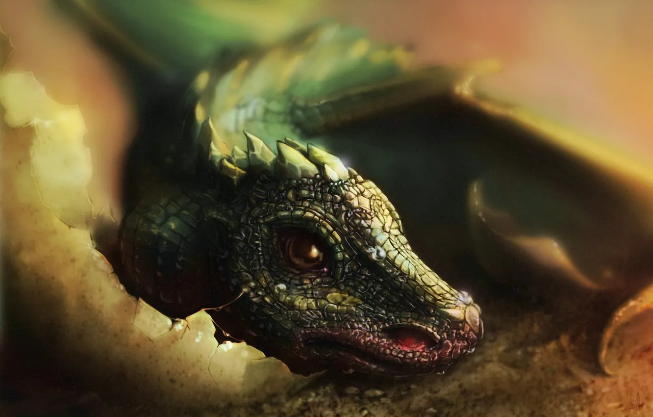 Photo wallpaper dragon, eggs, art, lizard, cub, Gina Nelson