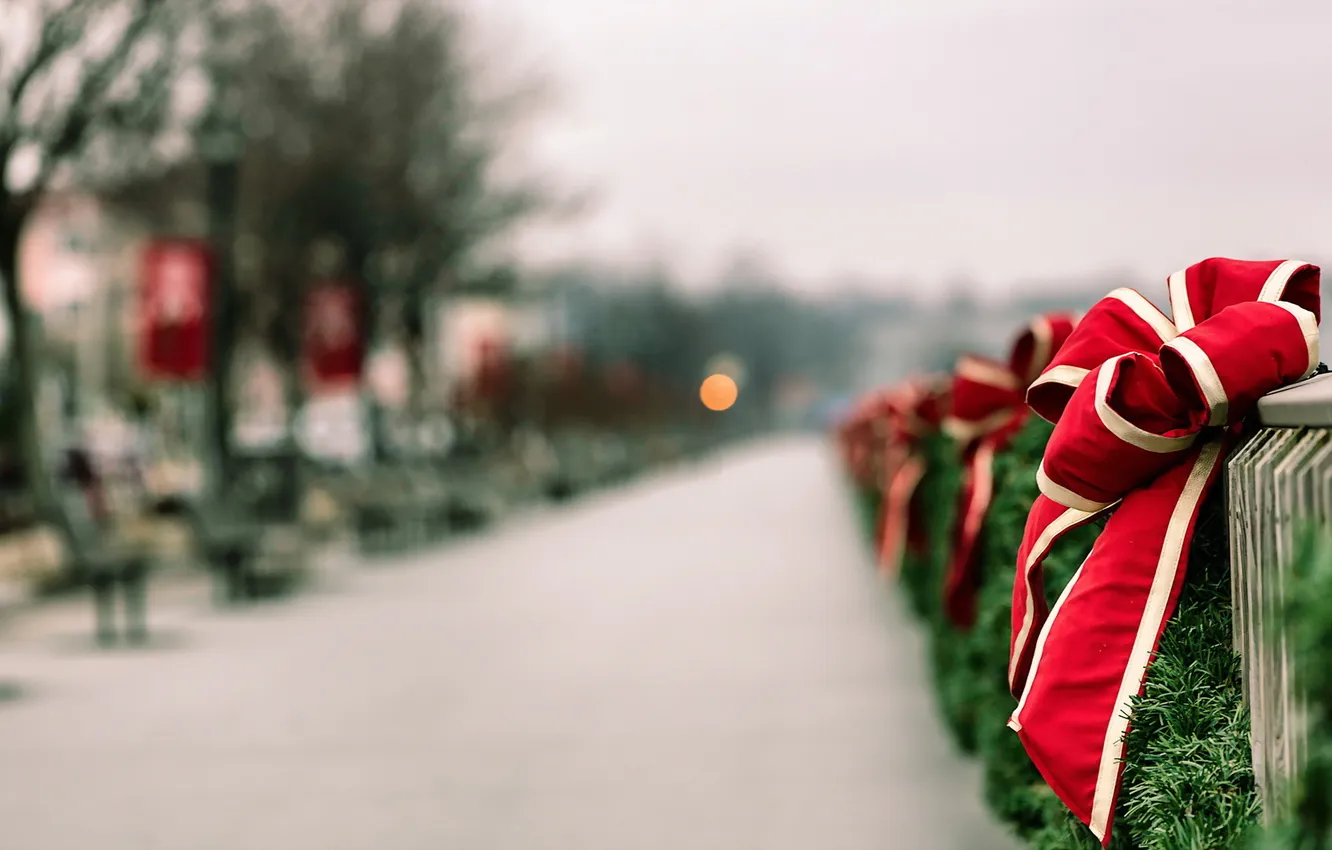 Photo wallpaper macro, the city, holiday, street