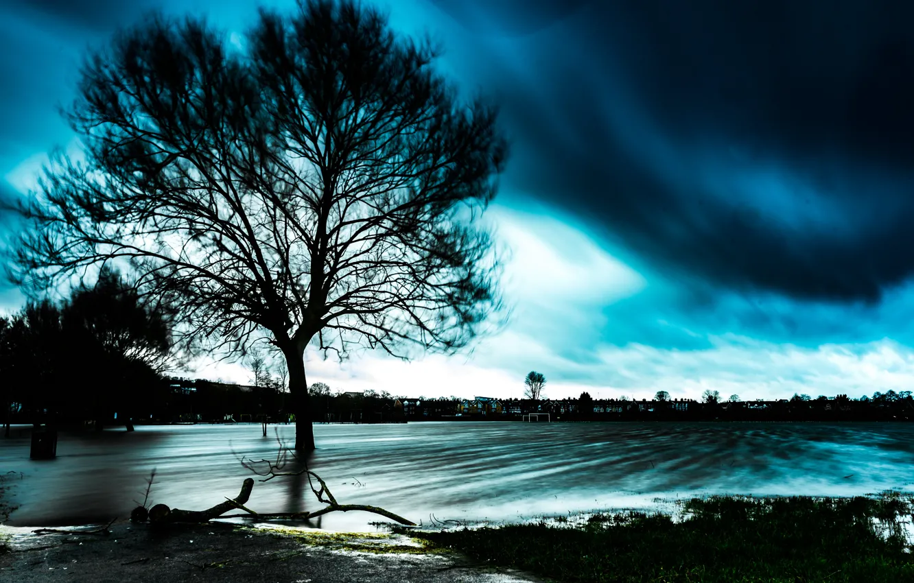 Photo wallpaper field, the sky, trees