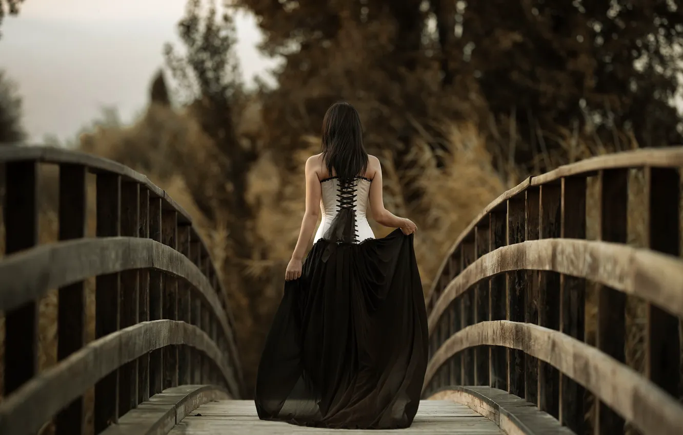 Photo wallpaper girl, bridge, nature