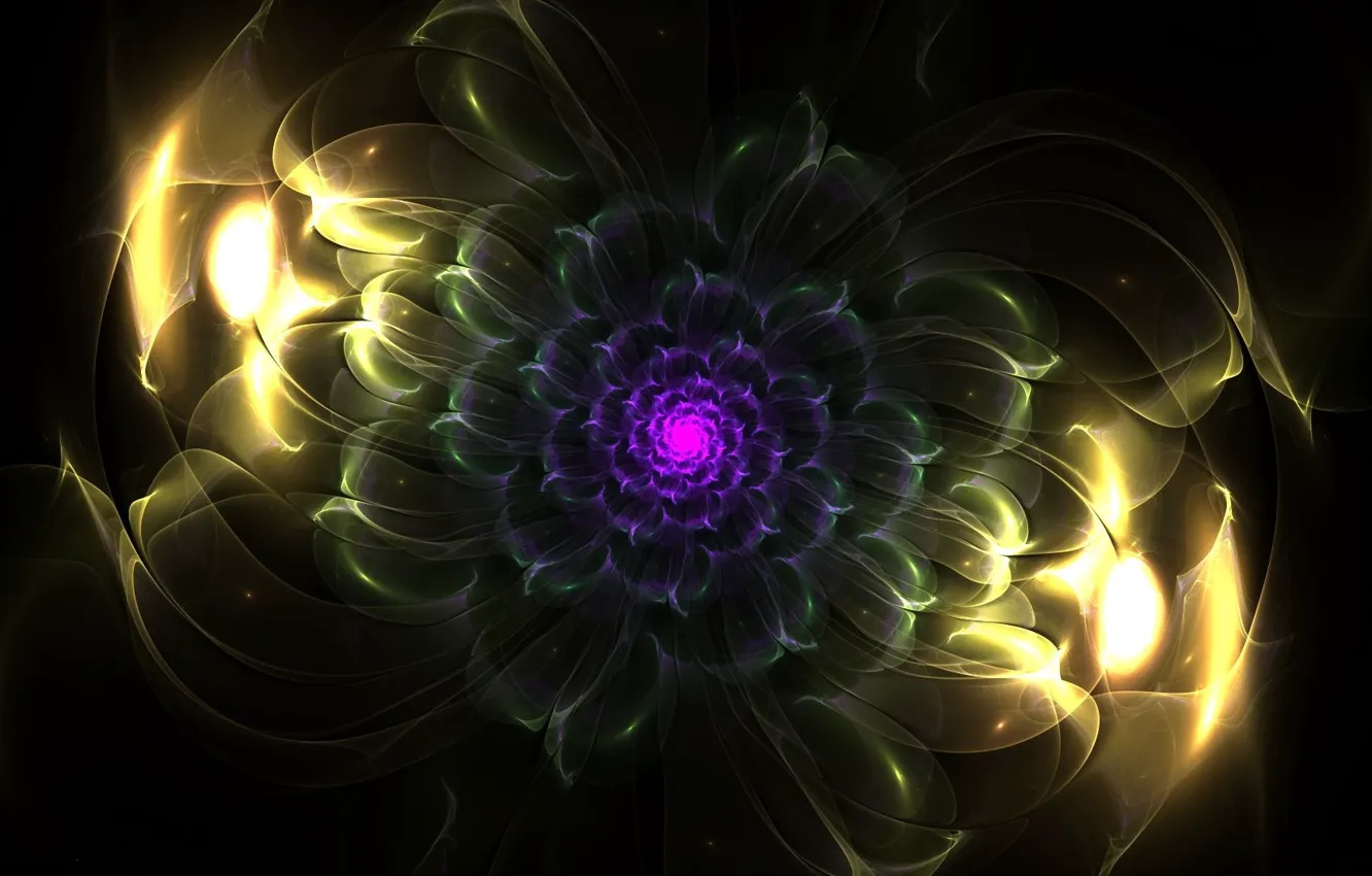 Photo wallpaper flower, pattern, fractal