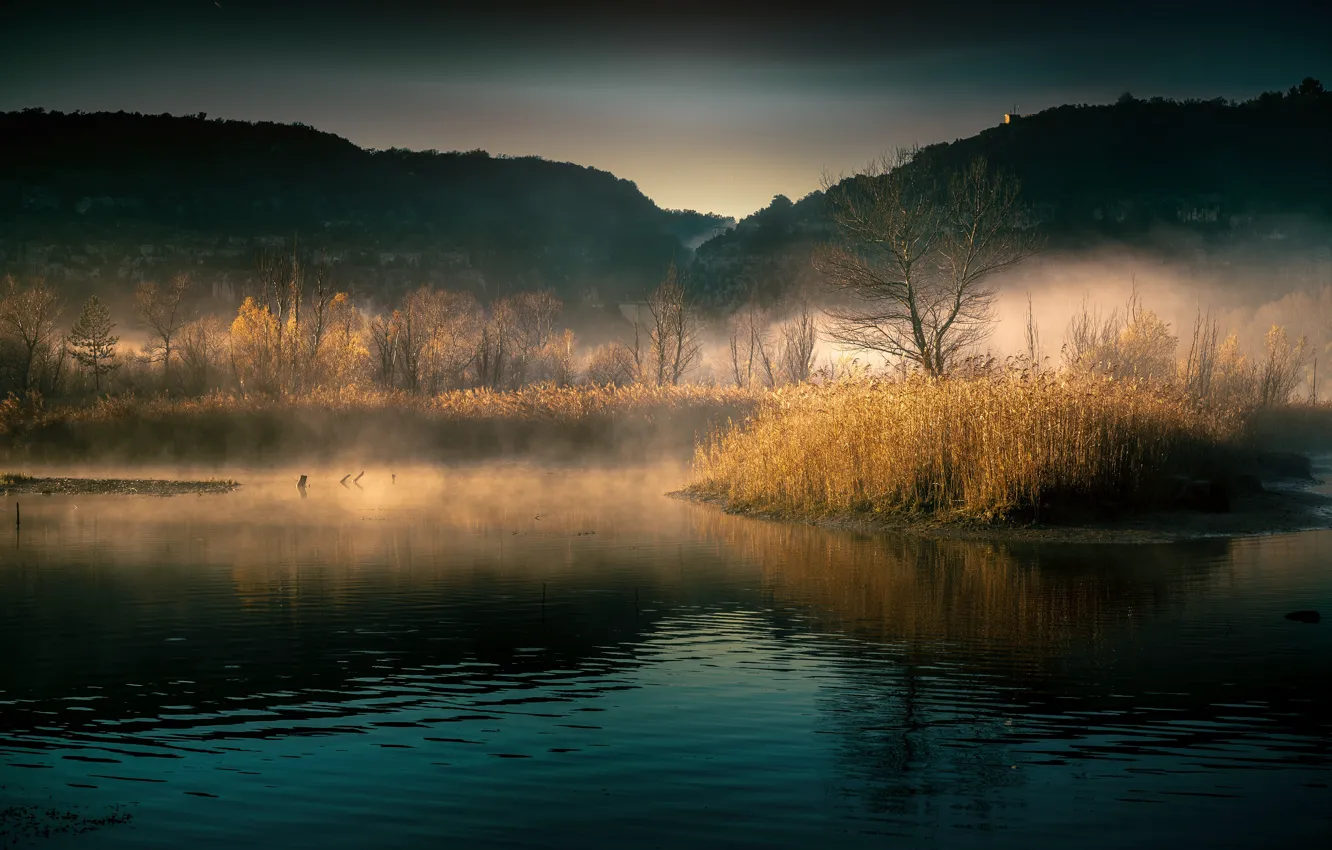 Photo wallpaper autumn, grass, light, trees, fog, reflection, hills, morning