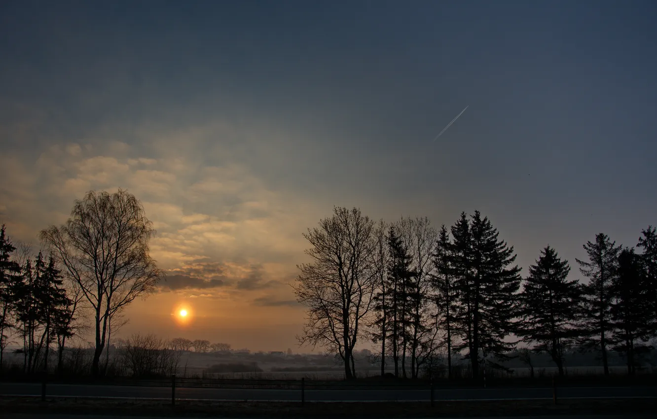 Photo wallpaper trees, landscape, nature, dawn