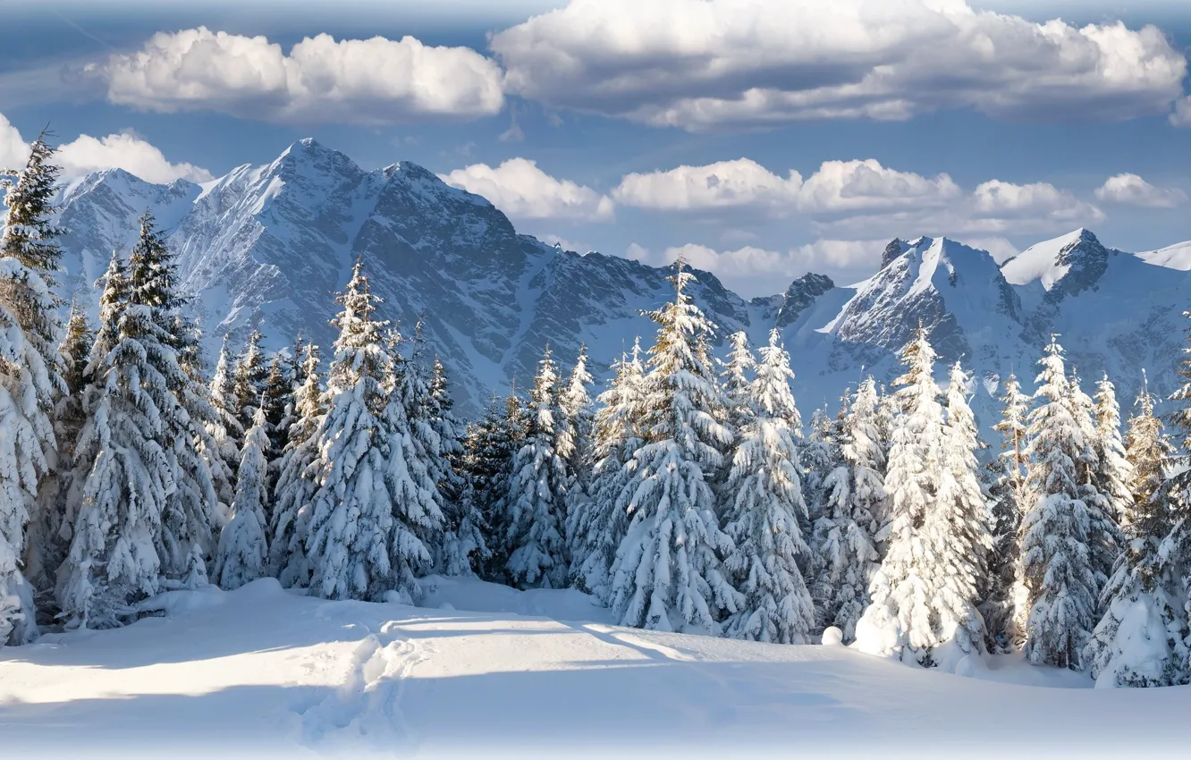 Photo wallpaper winter, forest, the sky, clouds, mountains, nature, beautiful