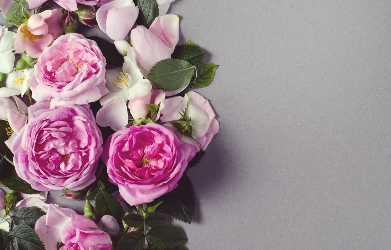 Photo wallpaper flowers, roses, petals