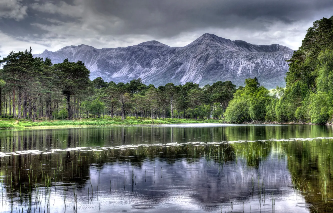Photo wallpaper forest, trees, mountains, clouds, lake, overcast, HDR, reed