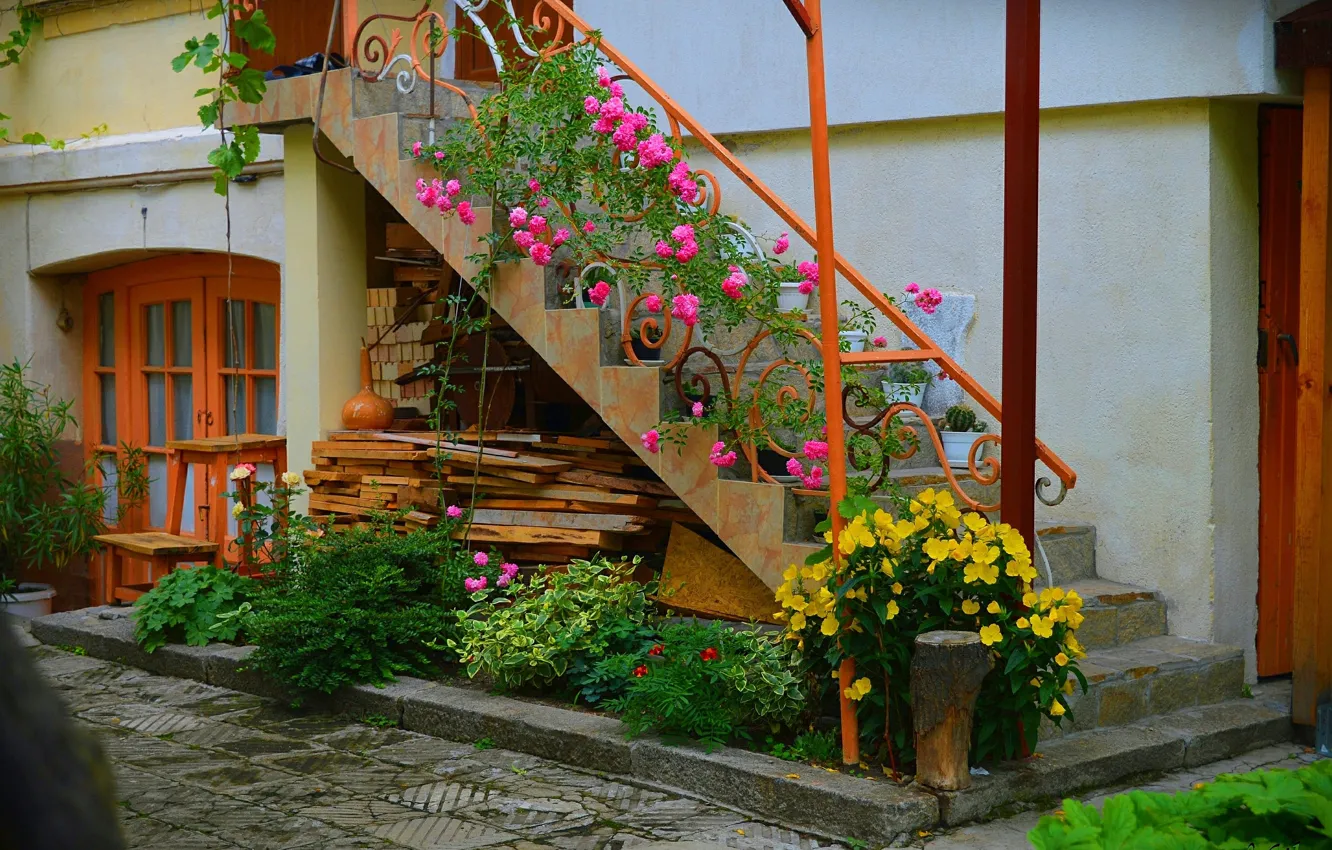 Photo wallpaper Flowers, Ladder, House, Flowers, Colors, Yard