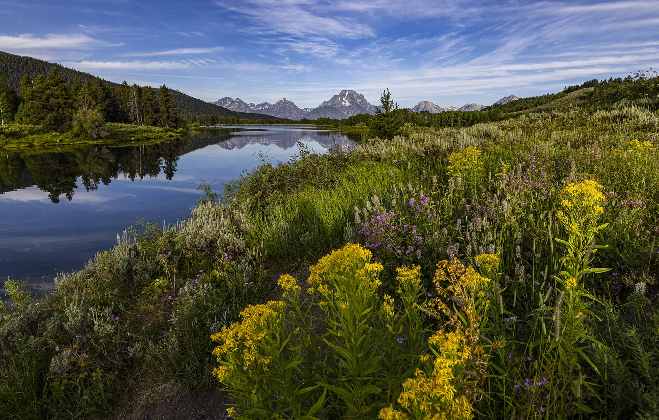 Photo wallpaper summer, clouds, flowers, mountains, blue, shore, dal, yellow