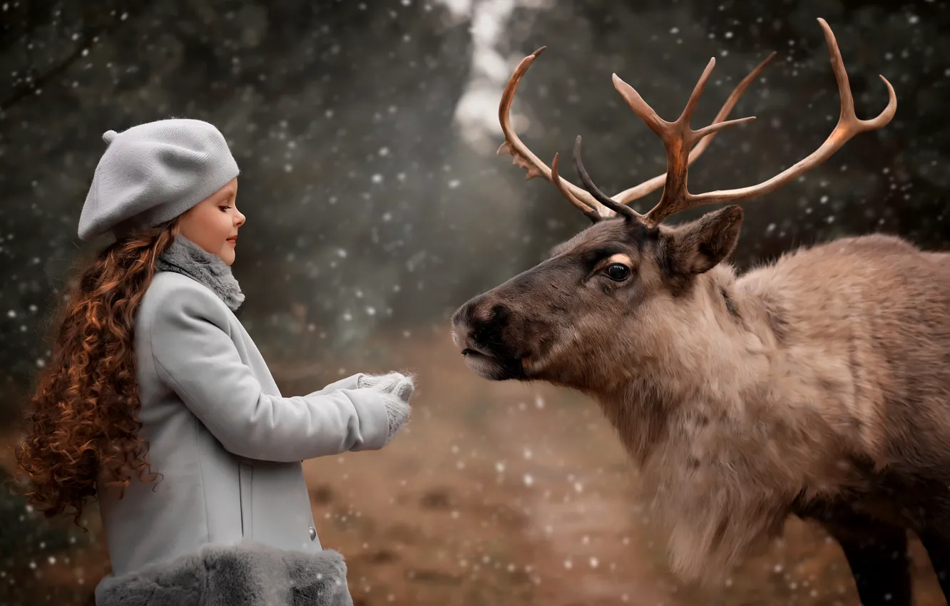 Photo wallpaper snow, nature, animal, deer, girl, Valentine Ermilova