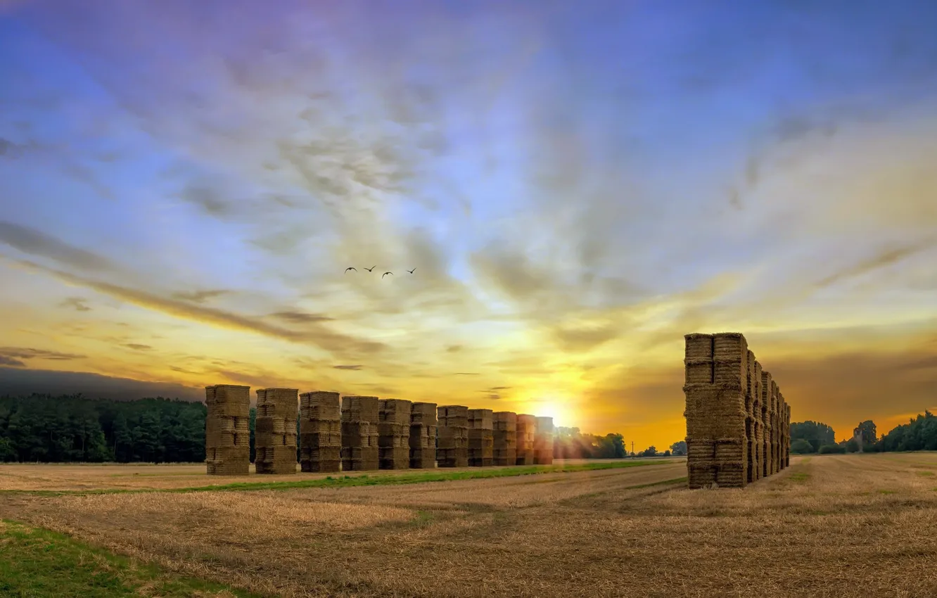 Photo wallpaper field, summer, hay, Zach