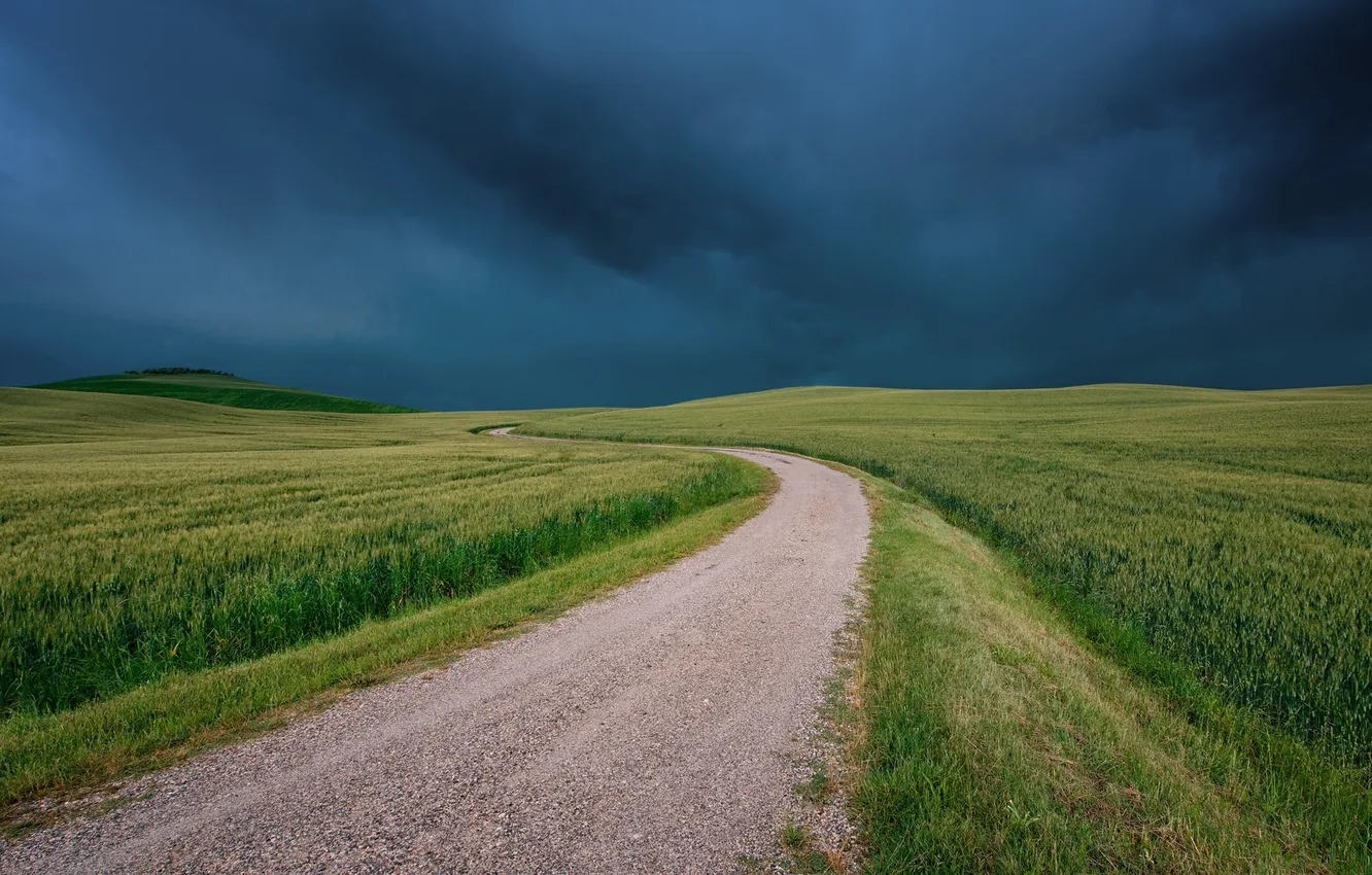 Photo wallpaper road, field, grass, clouds, bad weather