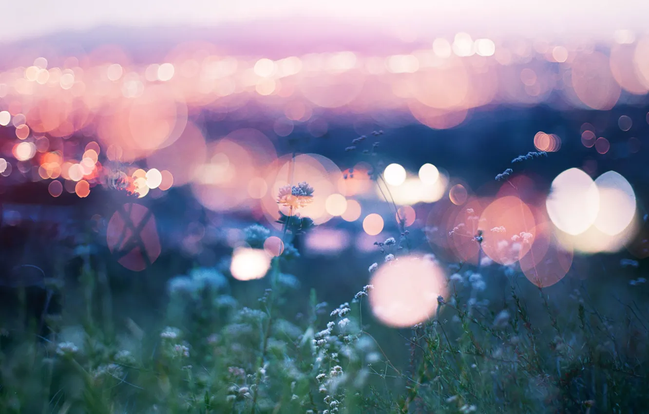 Photo wallpaper flowers, lights, bokeh
