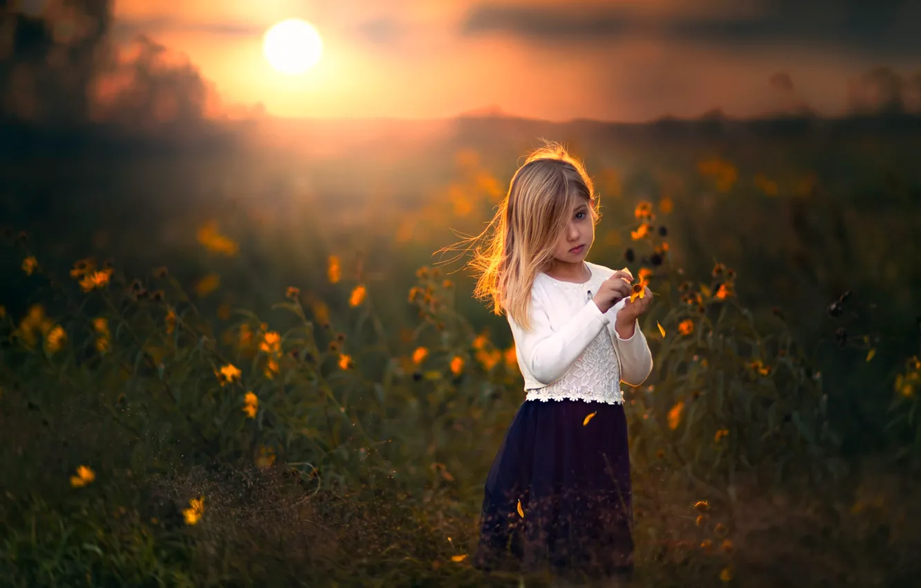 Photo wallpaper field, sunset, flowers, girl