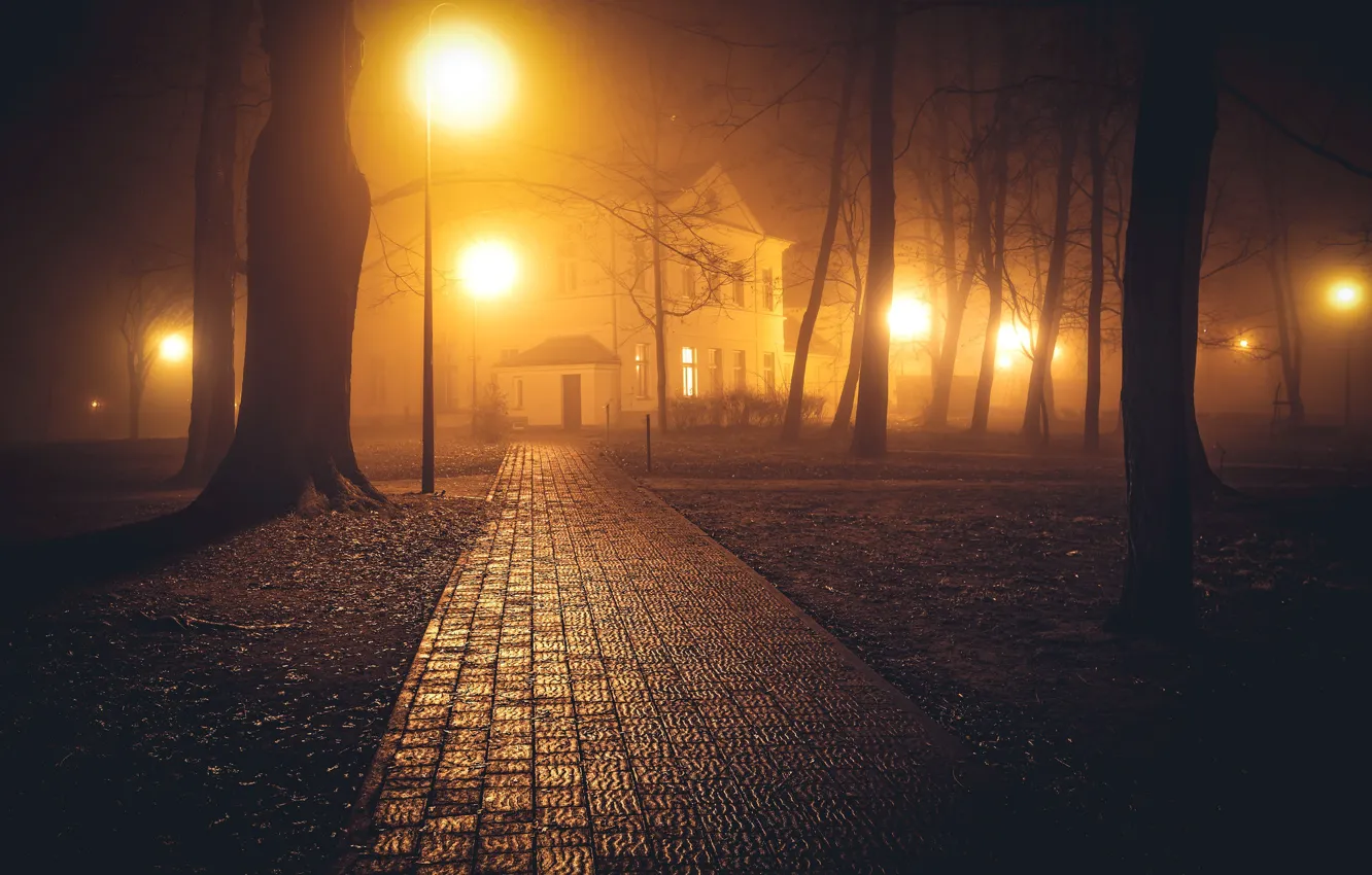 Photo wallpaper autumn, light, trees, night, the city, fog, Park, building