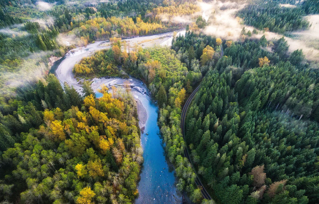 Photo wallpaper forest, the sky, clouds, trees, landscape, mountains, nature, fog