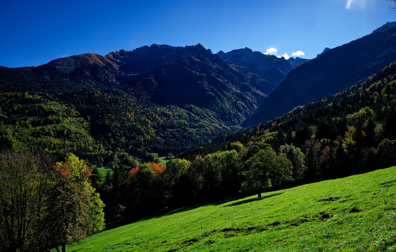 Photo wallpaper forest, mountains, nature