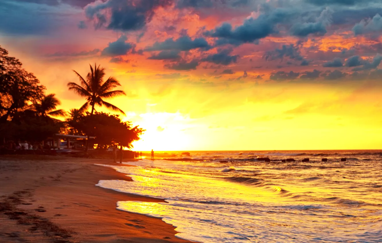 Photo wallpaper sand, sea, beach, sunset, tropics, palm trees, shore, beach