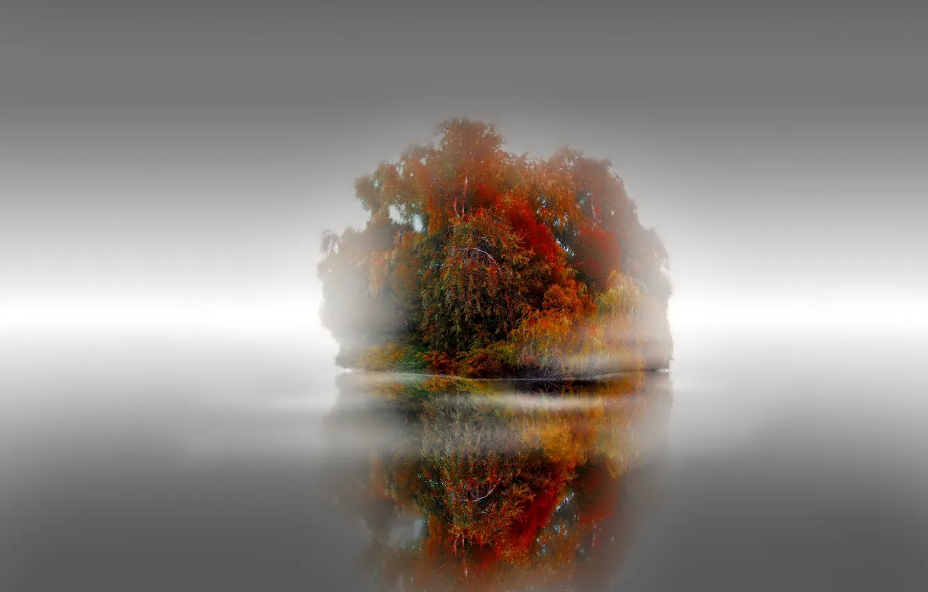 Photo wallpaper autumn, trees, fog, lake, island