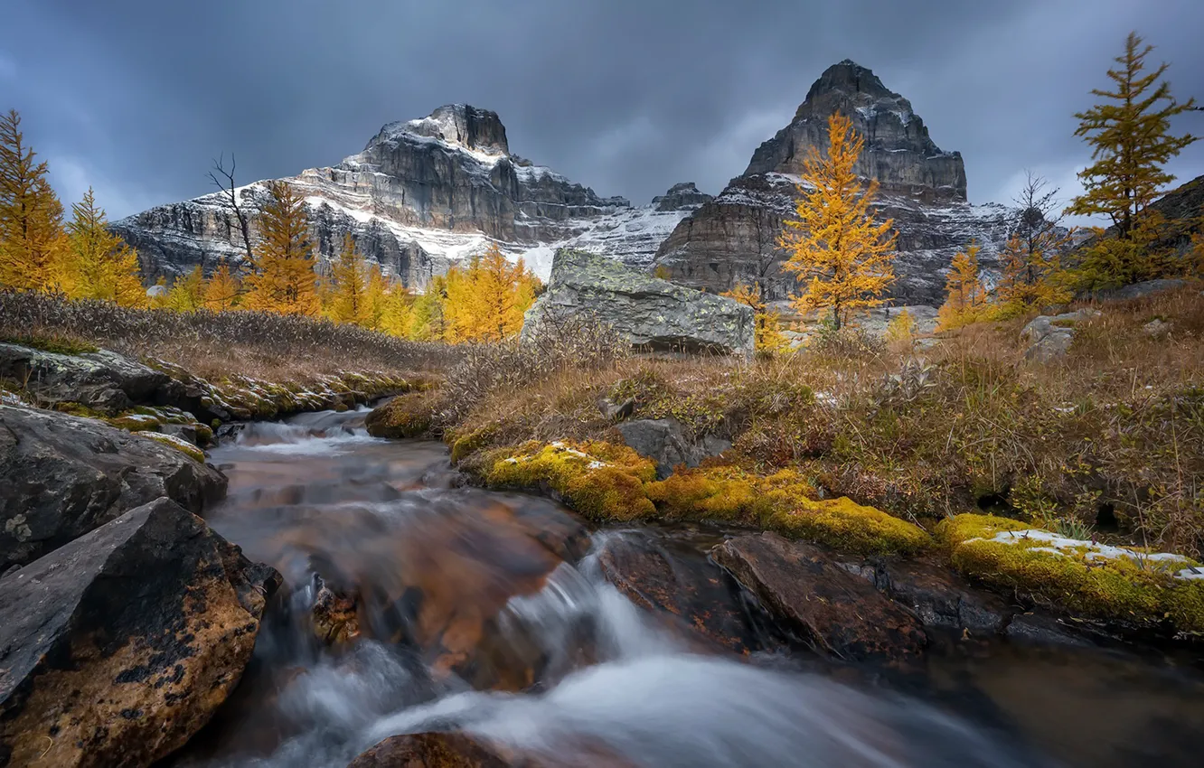 Photo wallpaper mountains, nature, Banff National Park