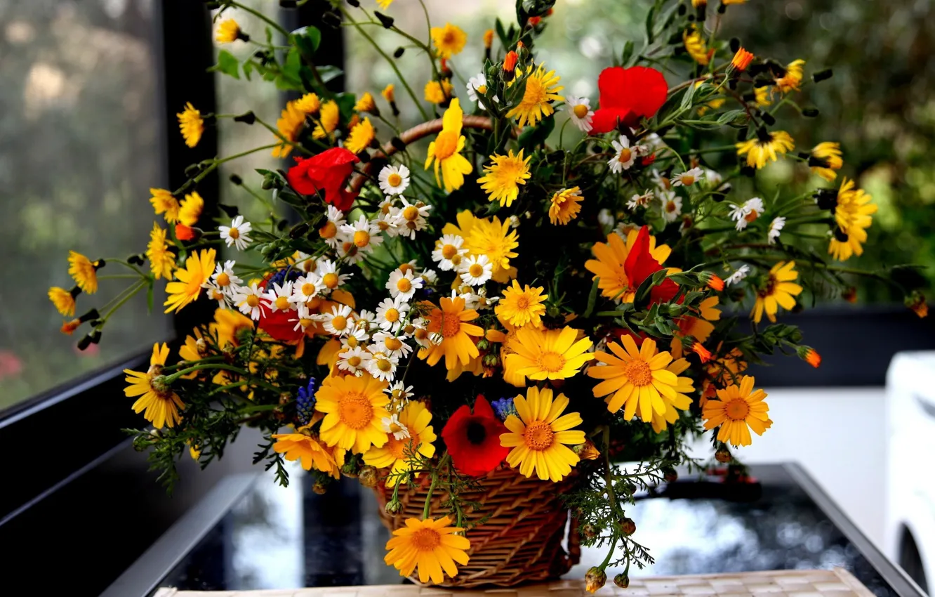 Photo wallpaper flowers, bouquet, window, basket
