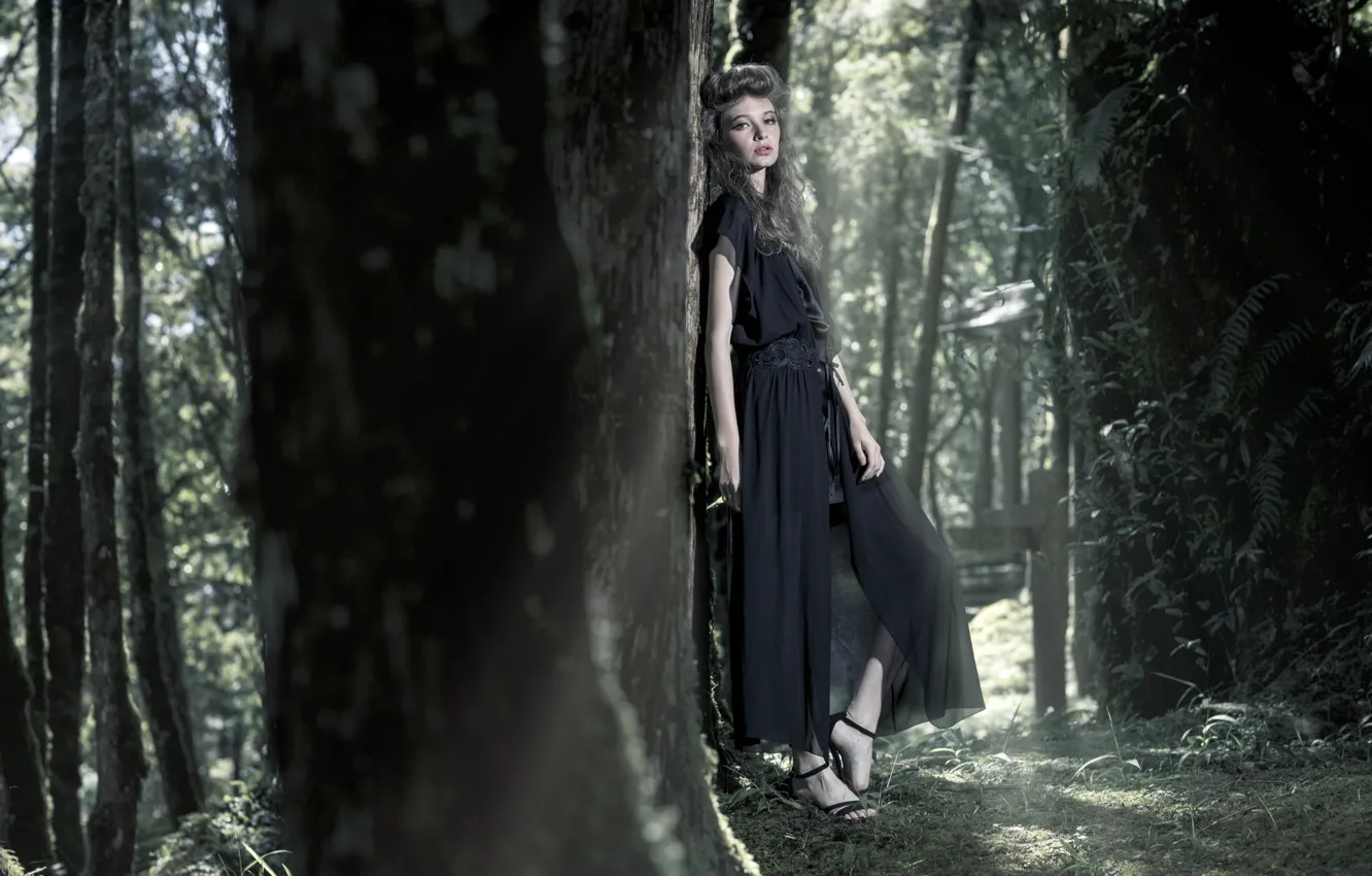Photo wallpaper forest, look, girl, trees, style, in the woods