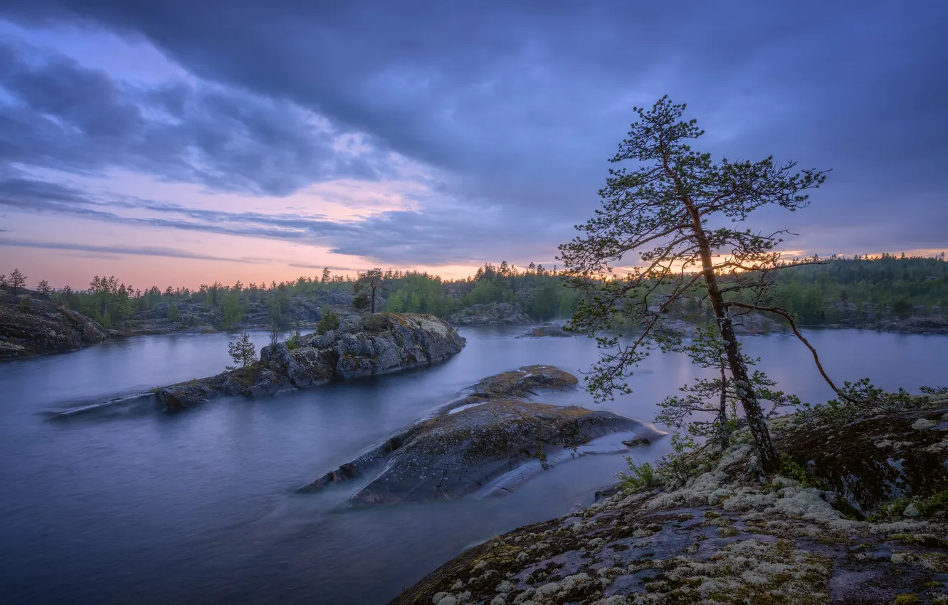 Photo wallpaper trees, river, stones, space, Evdokimov Maxim, The silence of the water