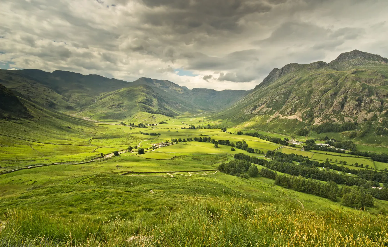 Photo wallpaper forest, the sky, mountains, clouds, grey, home, valley, meadow