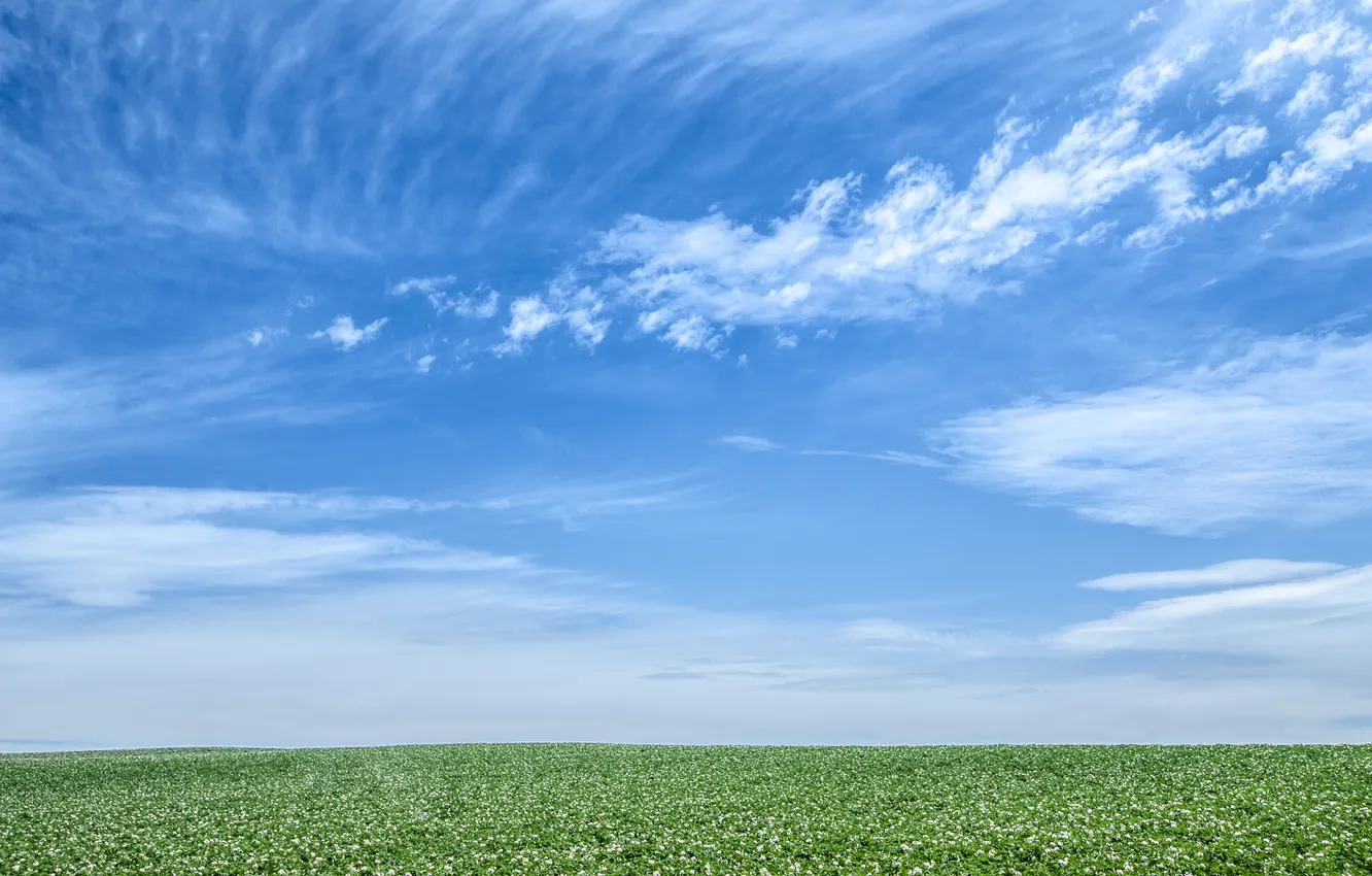 Photo wallpaper field, the sky, grass, clouds, landscape, nature, horizon, grass