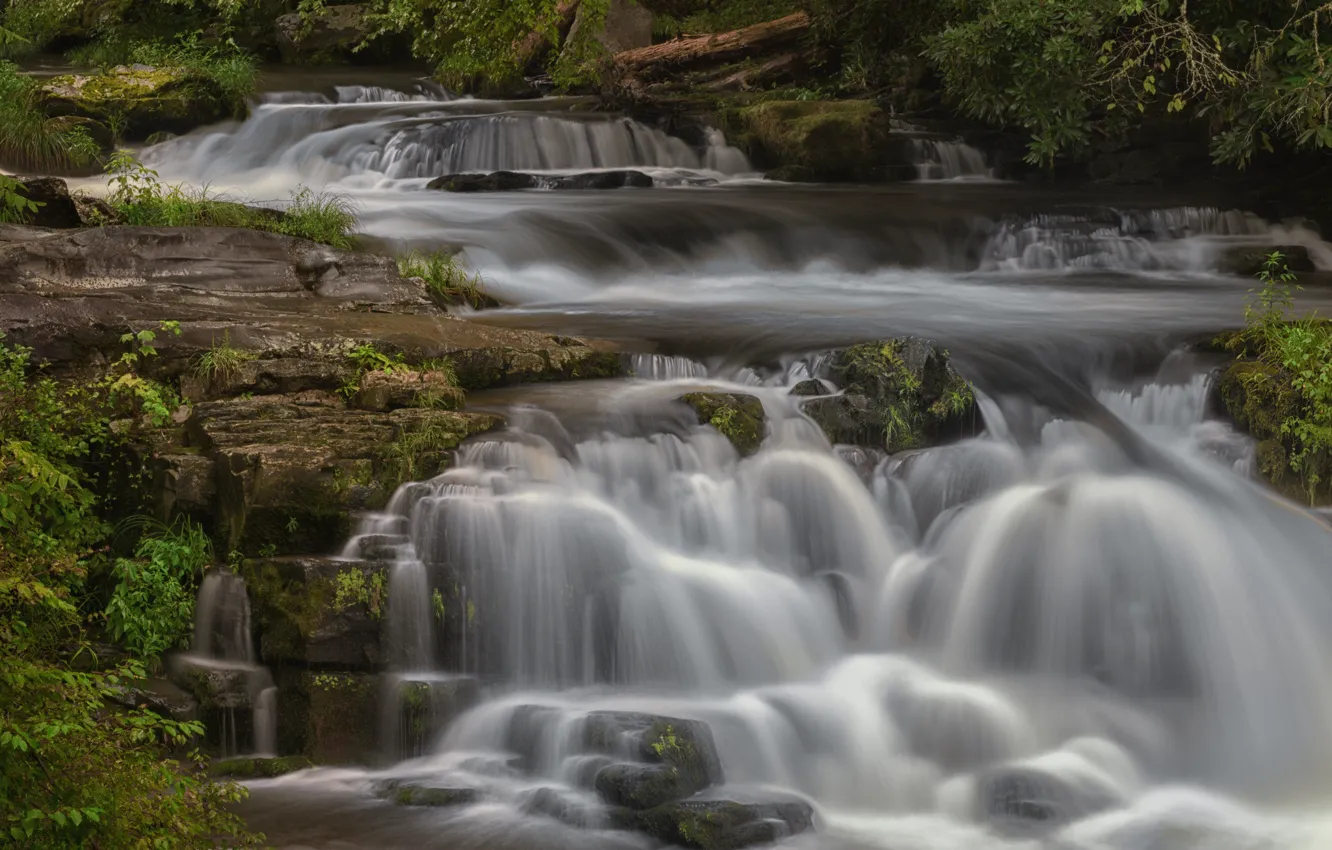 Photo wallpaper water, trees, nature, waterfall, stream