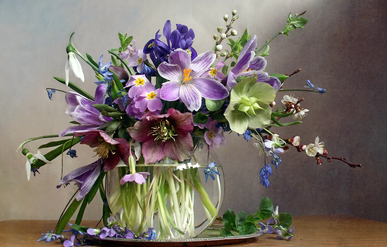 Photo wallpaper flowers, branches, table, crocuses, vase, primroses, tray, hellebore