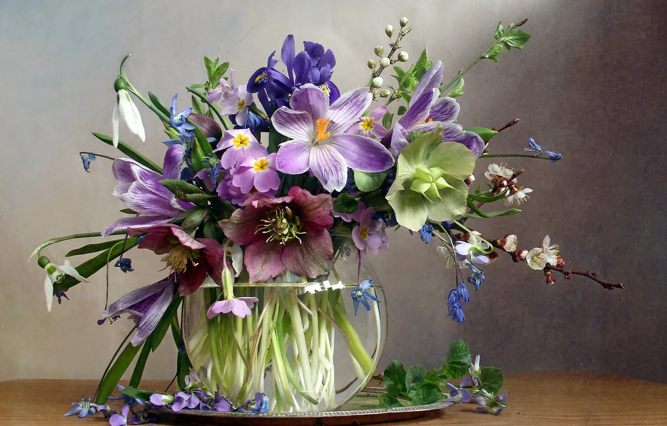 Photo wallpaper flowers, branches, table, crocuses, vase, primrose, tray, hellebore