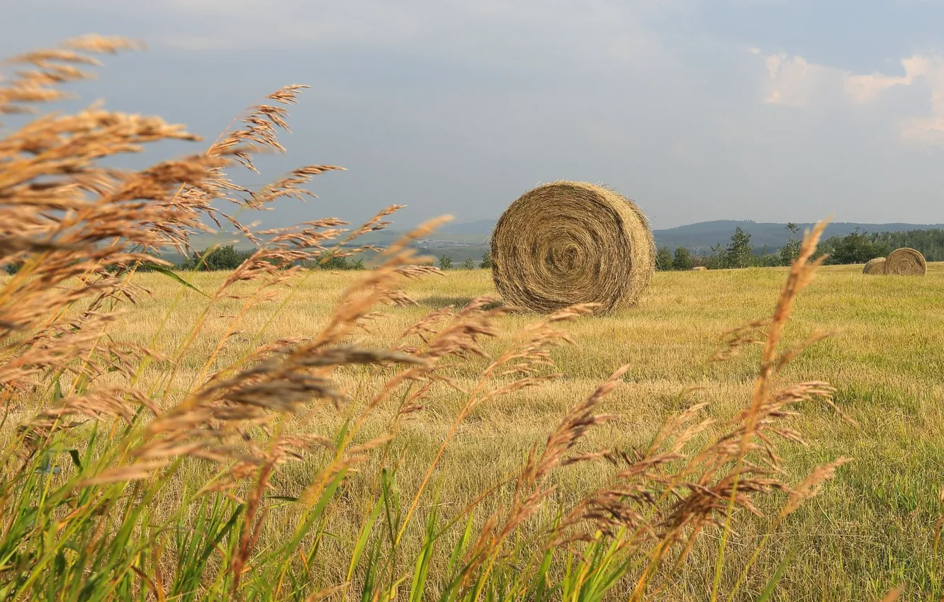 Photo wallpaper field, the sky, Hay bale
