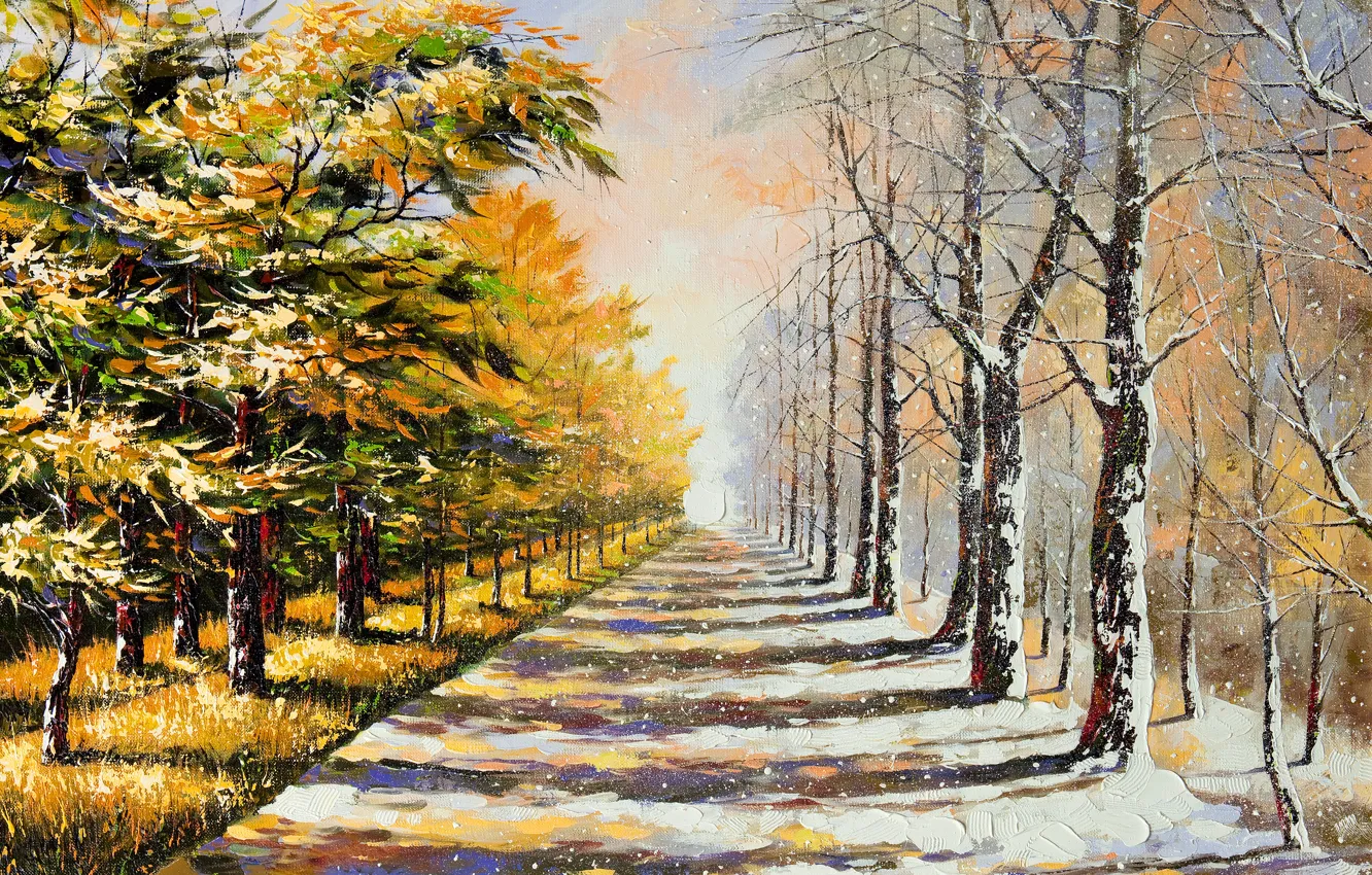Photo wallpaper winter, road, summer, snow, trees, foliage