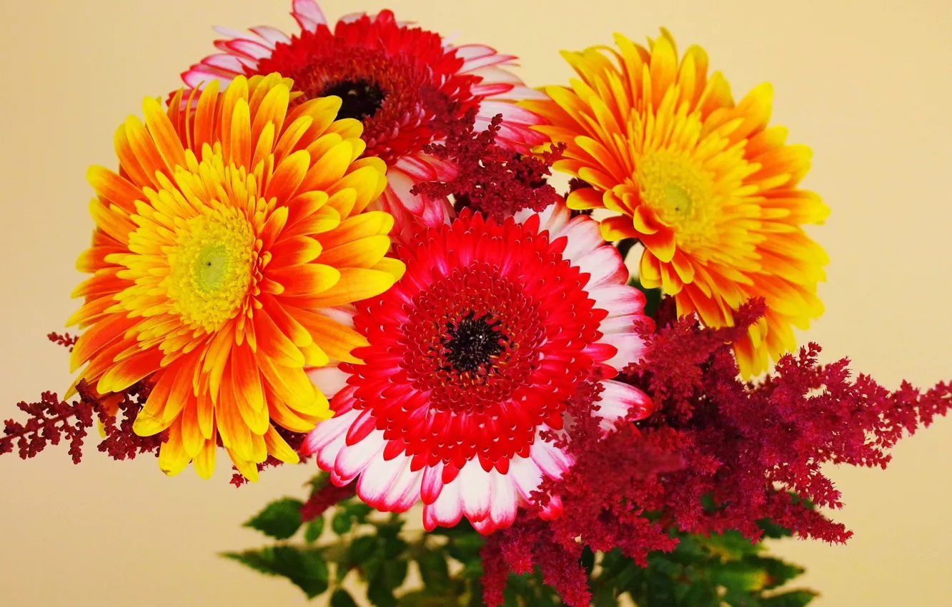 Photo wallpaper flowers, bright, bouquet, beautiful