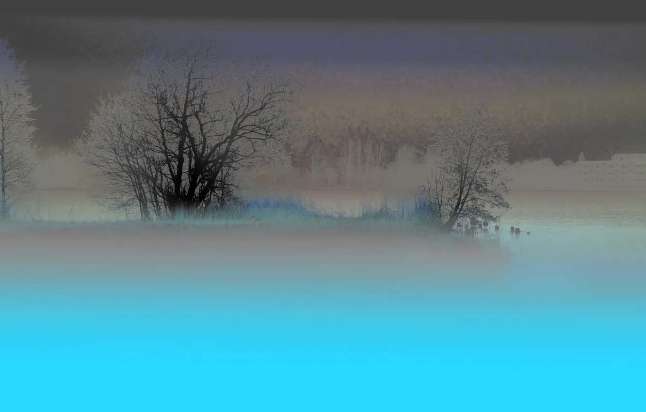 Photo wallpaper winter, field, the sky, trees