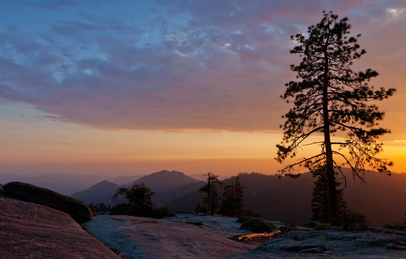 Photo wallpaper sunset, usa, beetle rock, sequoia national park