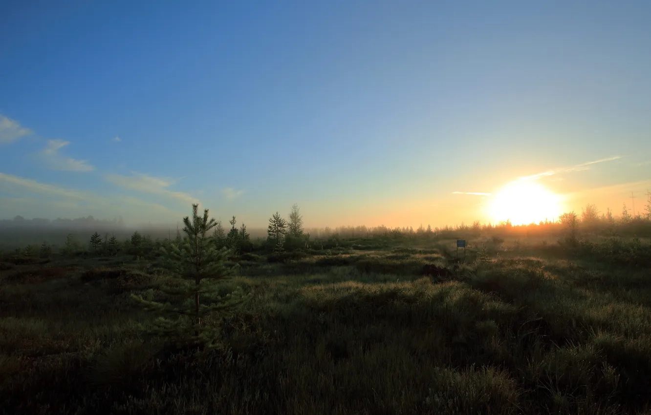 Photo wallpaper field, landscape, nature, morning