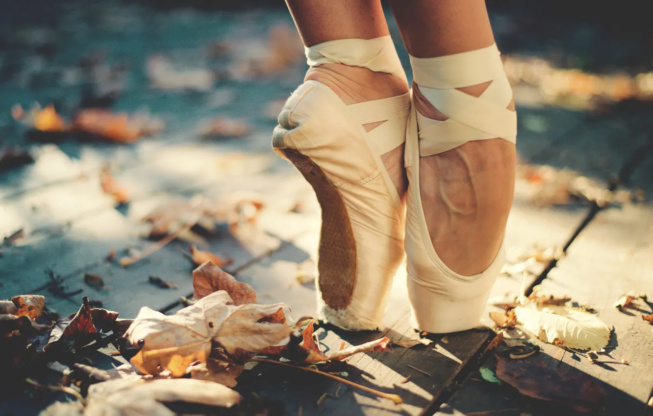 Photo wallpaper autumn, leaves, the sun, feet, deck, ballerina, Pointe shoes