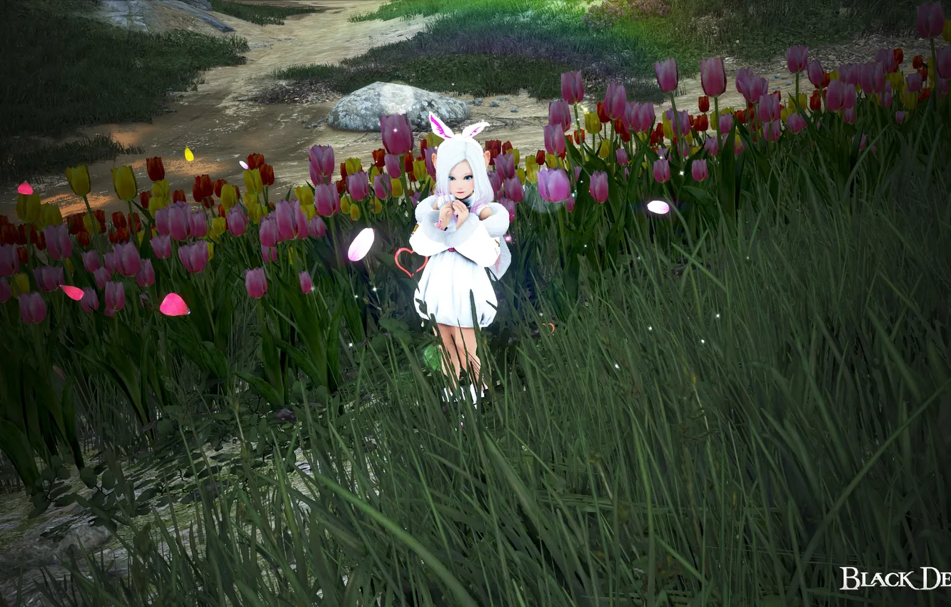 Photo wallpaper cutie, Black Desert, Shy, Meligora