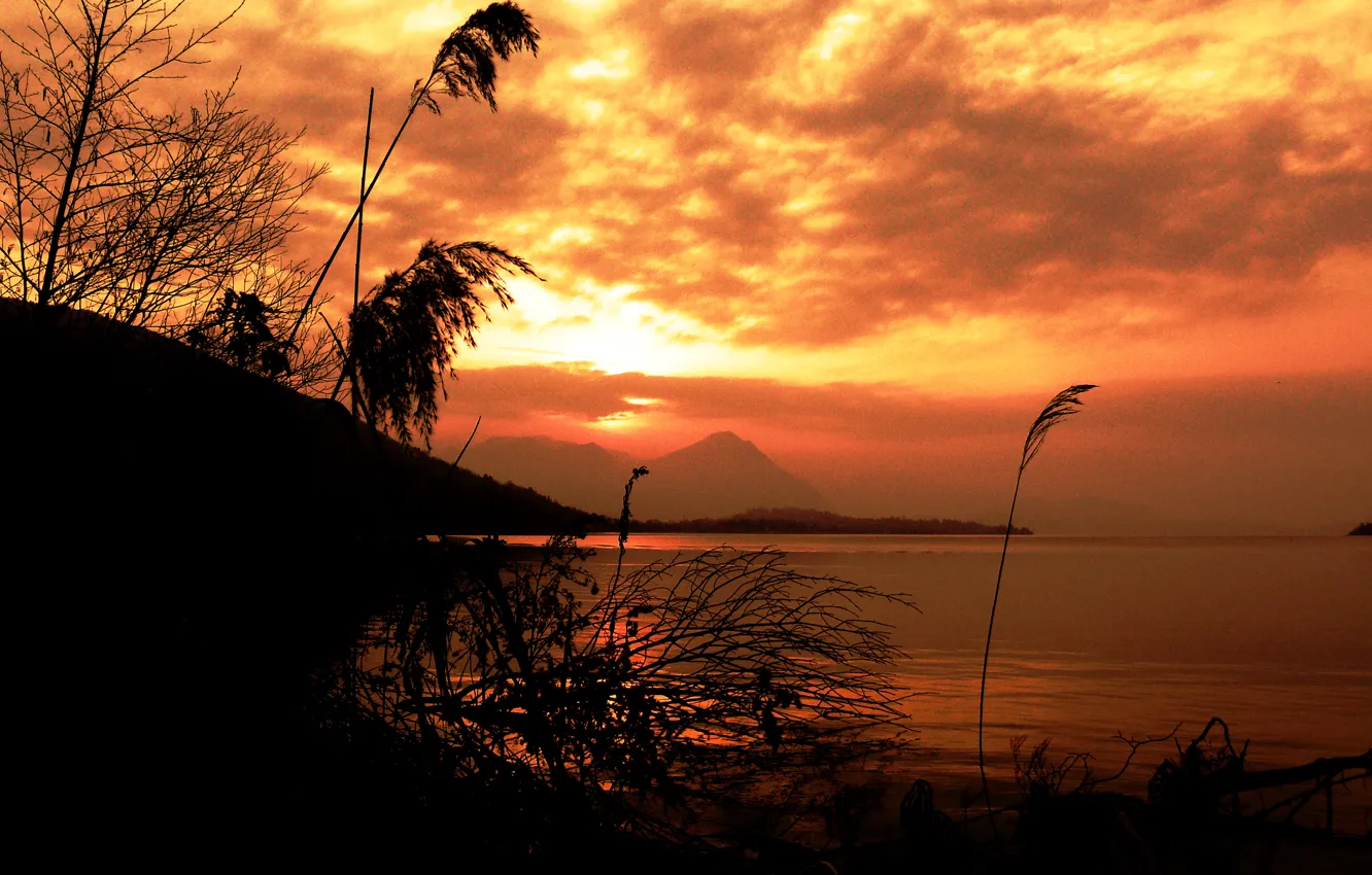 Photo wallpaper macro, mountains, lake, silhouette, plant, the sky, clouds, sunset