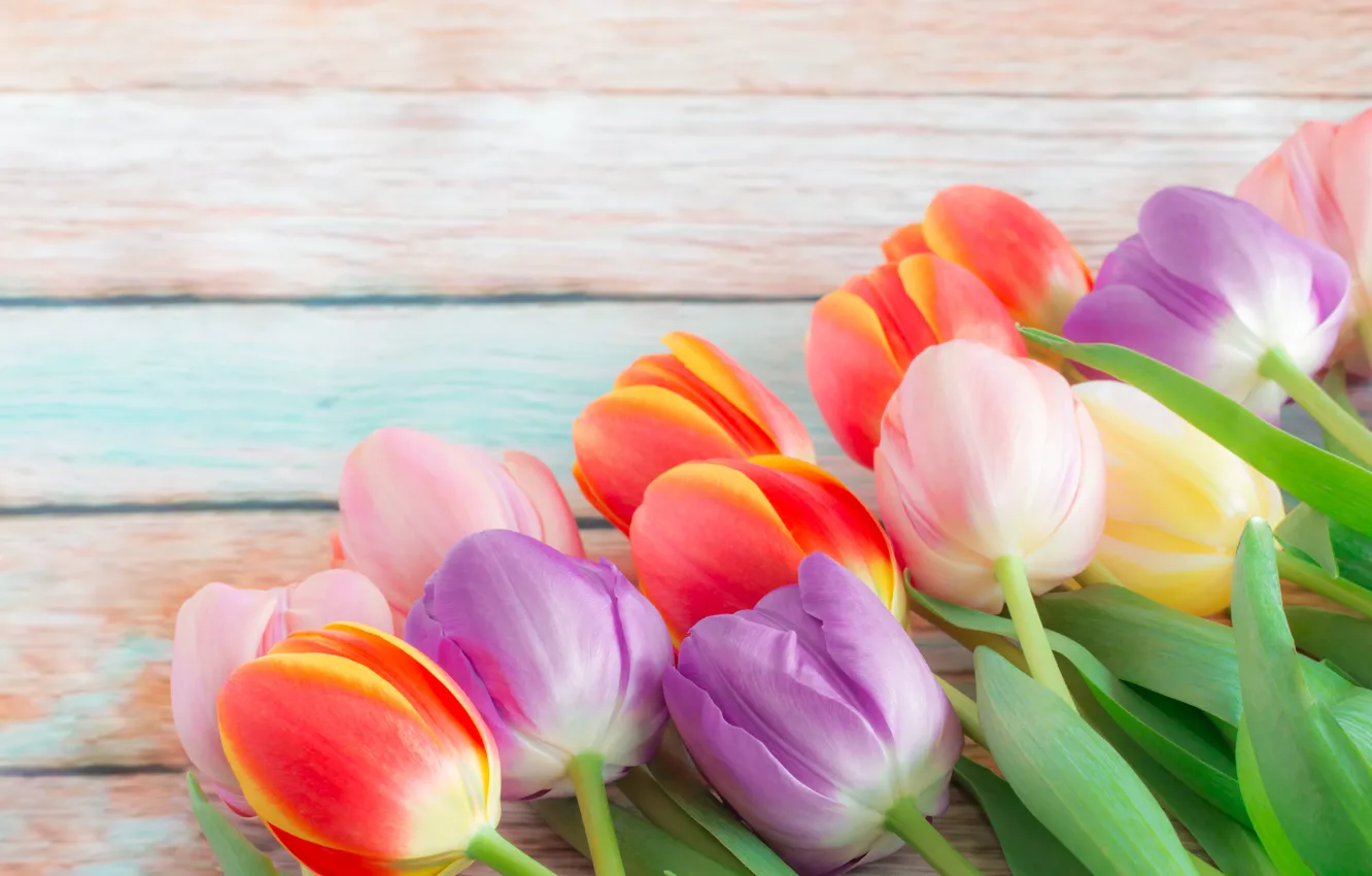 Photo wallpaper flowers, bouquet, spring, colorful, tulips, buds, fresh, flowers