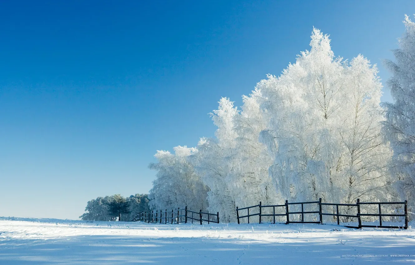 Photo wallpaper winter, snow, trees, the fence