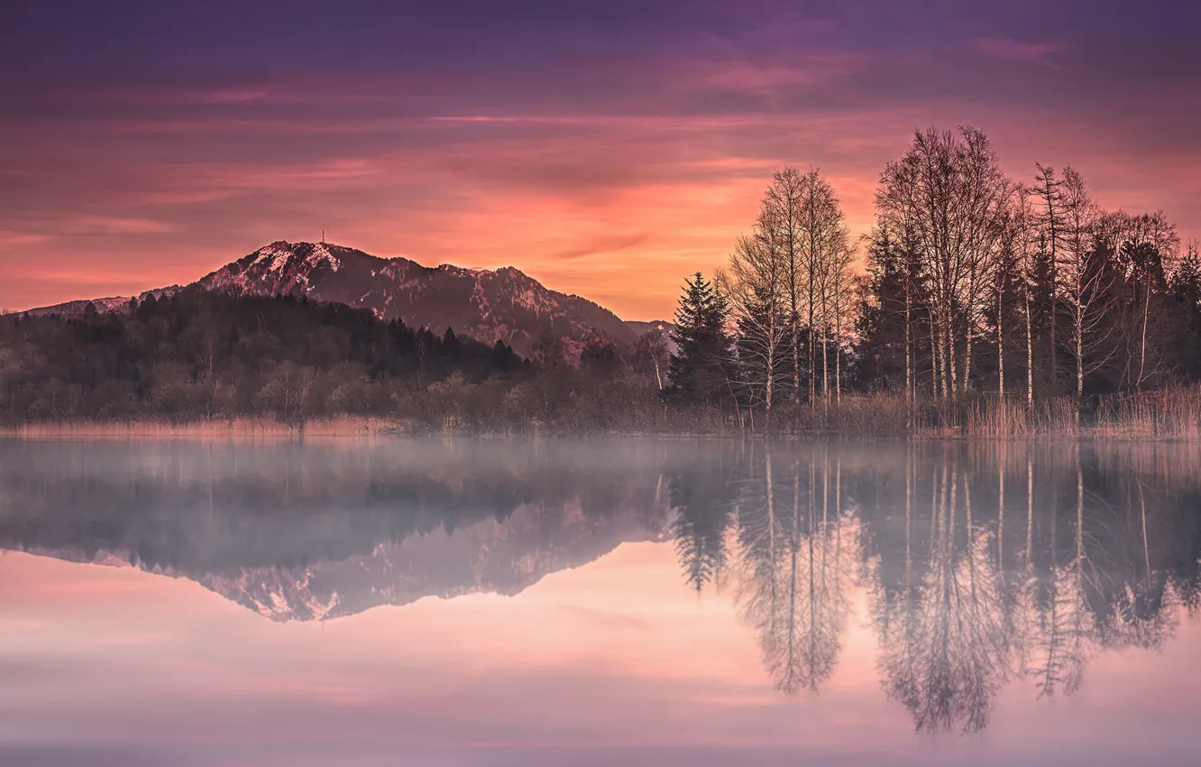 Photo wallpaper trees, mountains, lake, Germany, Bayern, Germany, Bavaria