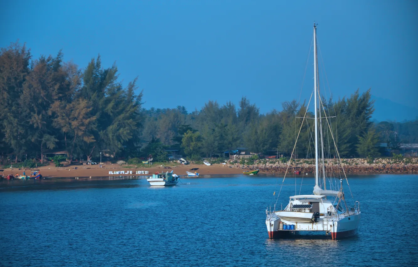 Photo wallpaper beach, sea, tree, boat