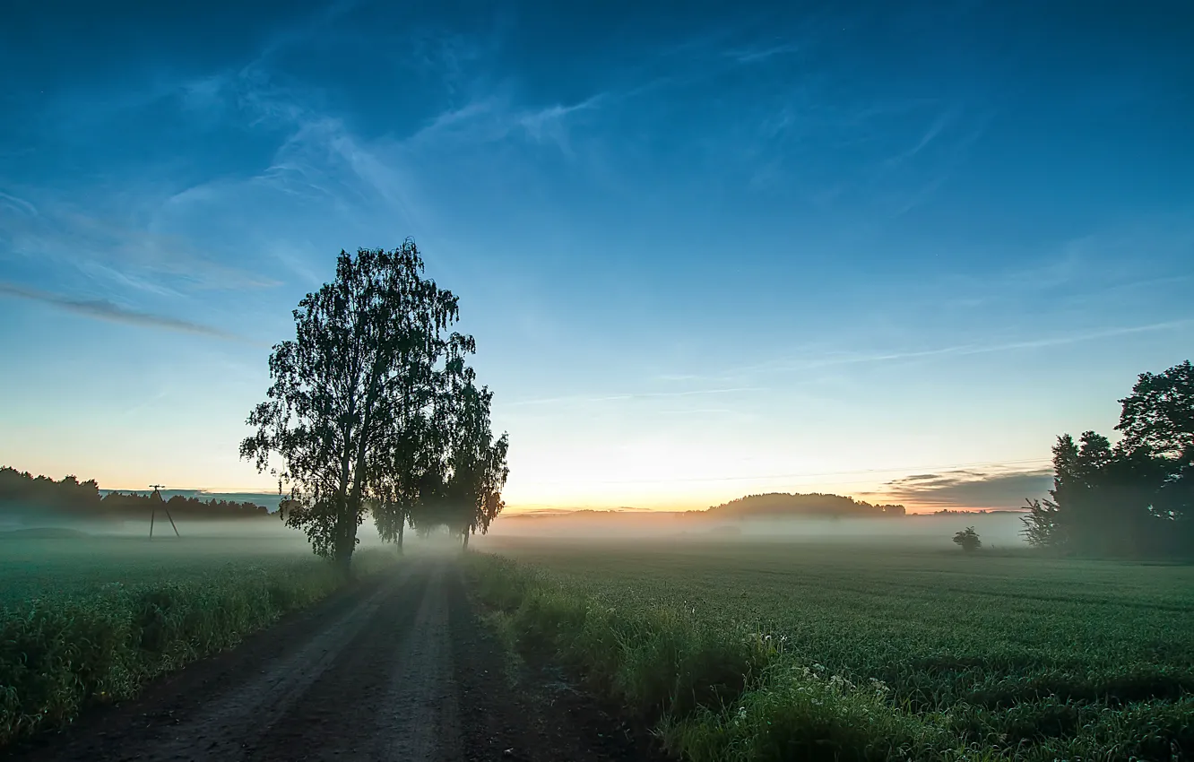Photo wallpaper road, field, grass, trees, fog