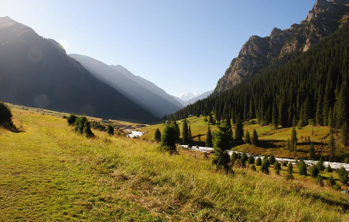 Photo wallpaper forest, mountains, nature, river, Outpost, Altyn Arash To, Kyrgyzstan
