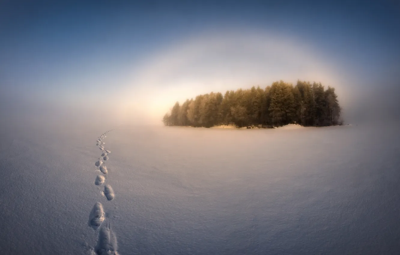 Photo wallpaper winter, field, snow, traces, fog
